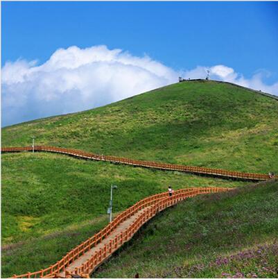 Ӫҵ��ģ��ɭ�ַ������롢���ҹ�԰���롢��Ȼ�������������������롢��Ȼ�Ų�������